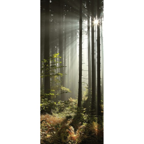 Decor Littlewood forest perspective wallpaper