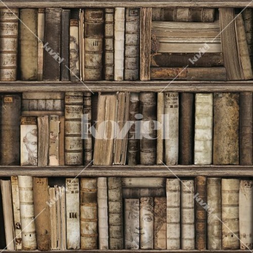 Antique bookshelves wallpaper
