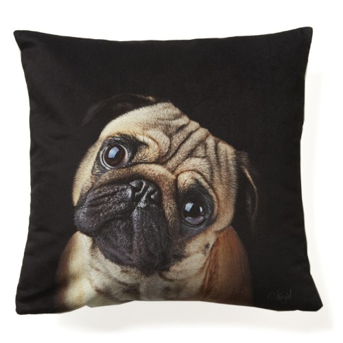 Pug dog cushion