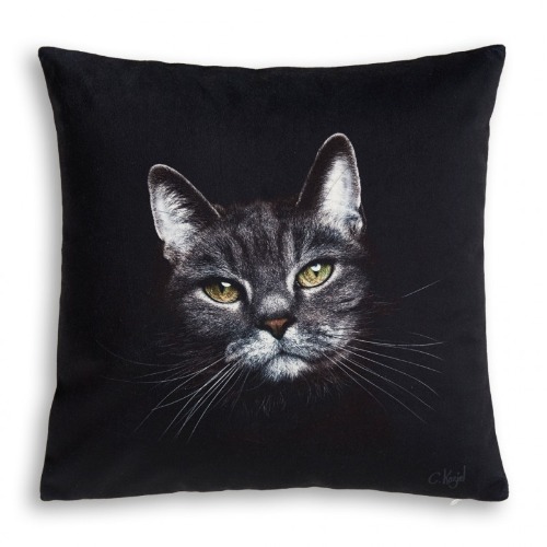 Cat cushion
