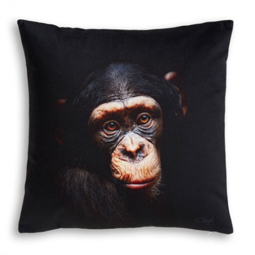 Chimpanzee cushion