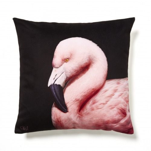 Greater Flamingo cushion